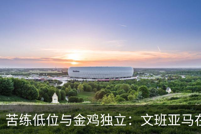 苦练低位与金鸡独立：文班亚马在法国特训中寻求进攻进化